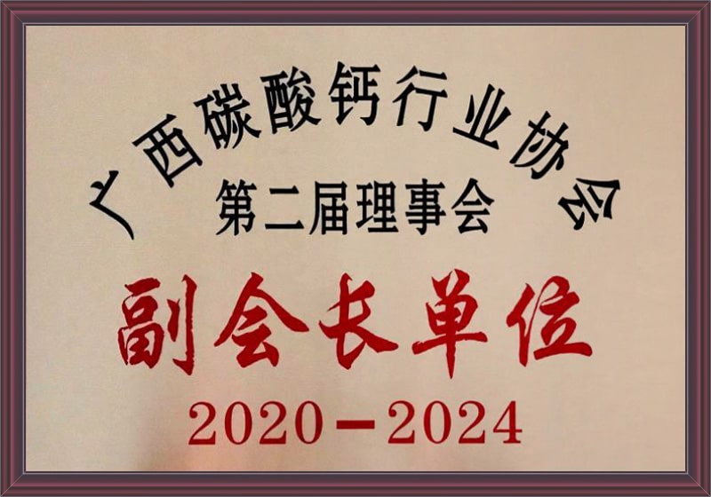 廣西碳酸(suān)鈣行業協(xie)會副會長(zhang)單位